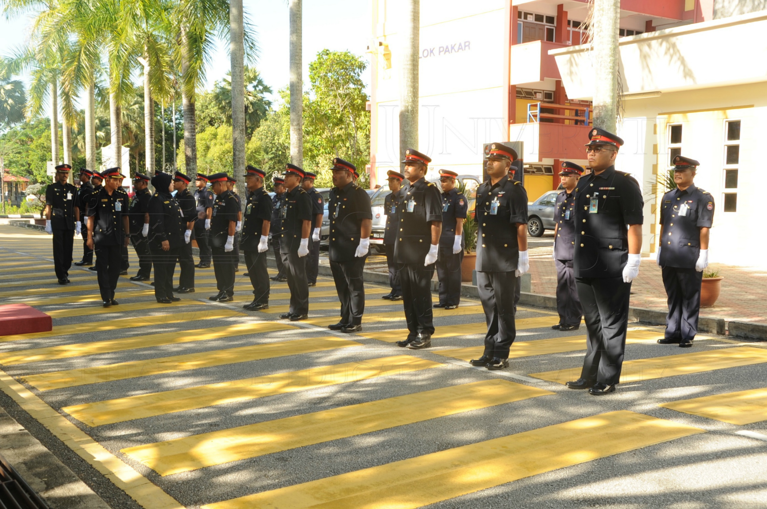 PRO 16 6 AMANAT VCHAS 8378